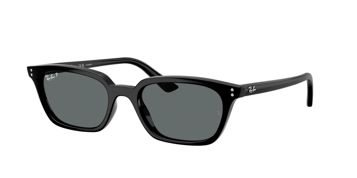 Ray-Ban Zaya 4456F Sunglasses 1