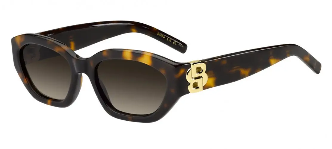 Boss (Hub) 1937 Sunglasses 1