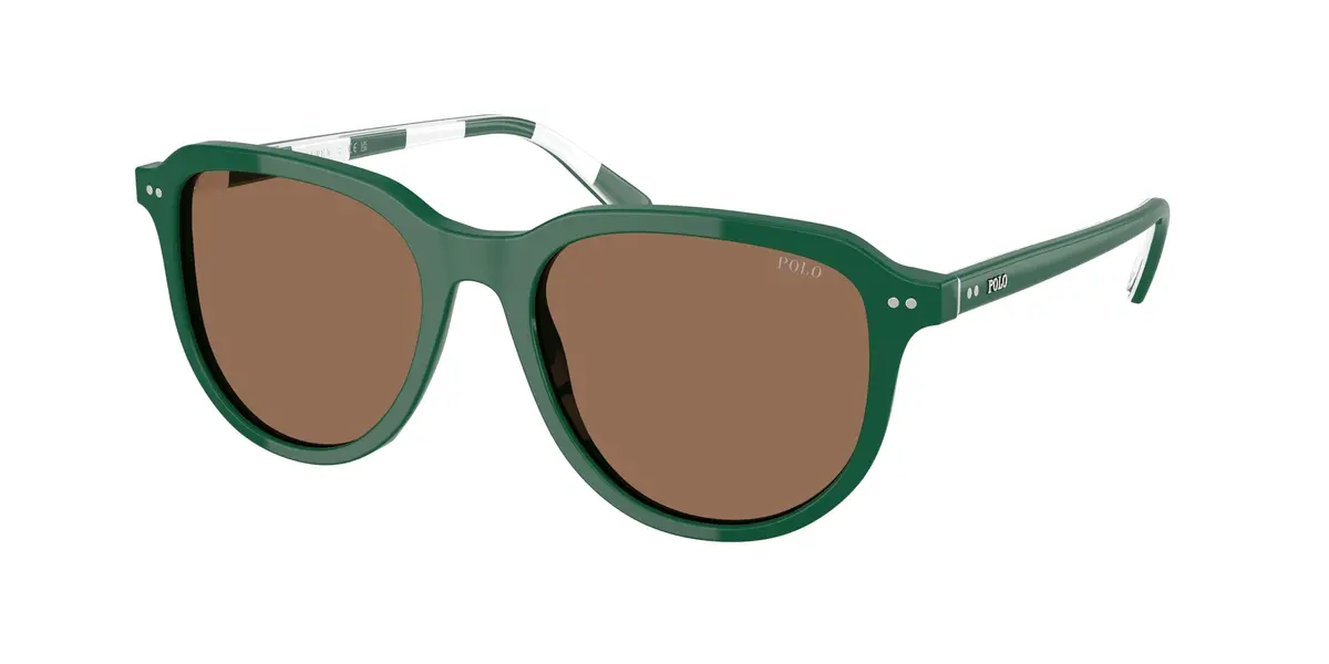 Polo 4225 Sunglasses 1