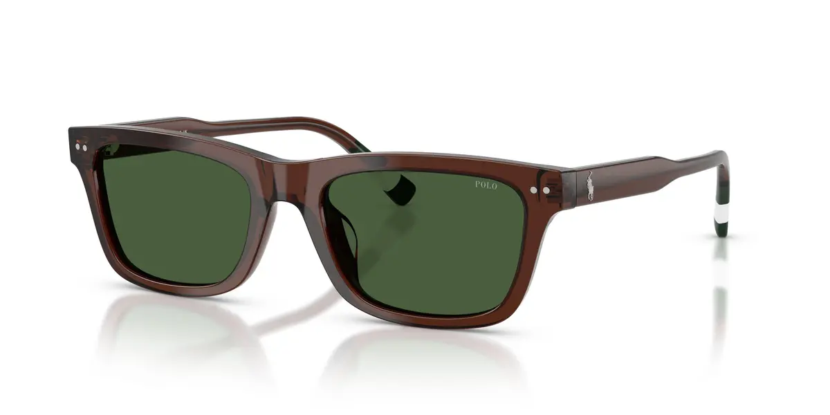 Polo 4240U Sunglasses 1