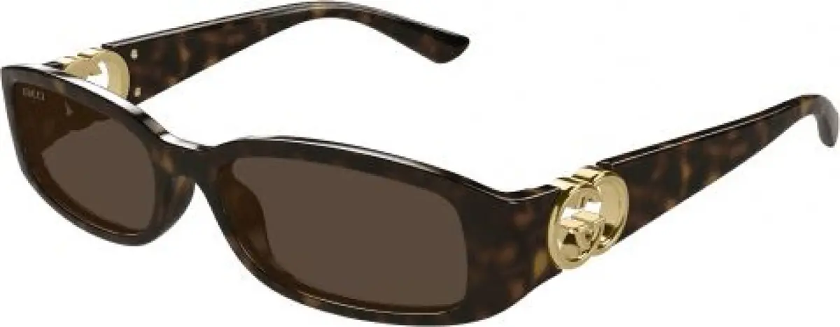 Gucci Gg1661s Sunglasses 1