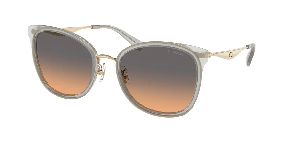 Coach Cw185 7170 Sunglasses 1