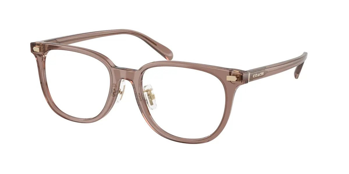 Coach 6269D Eyeglasses 1