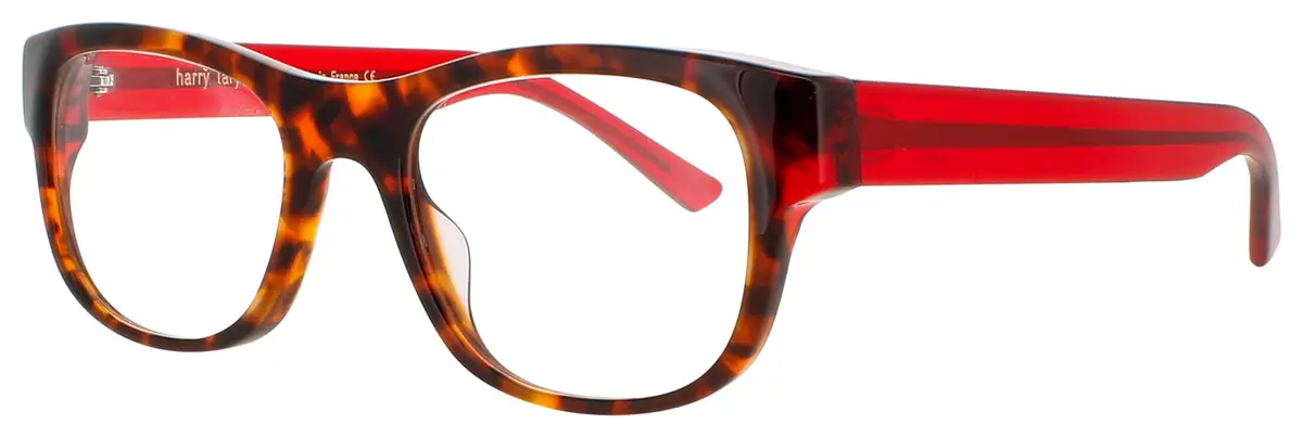 Harry Lary Supporty Eyeglasses 1