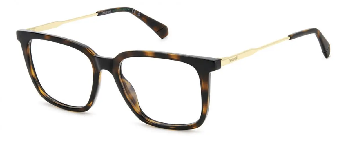 Polaroid Core Pldd565 Eyeglasses 1