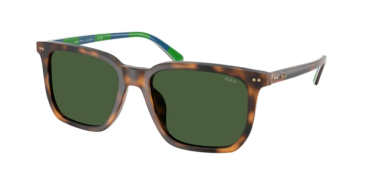 Polo 4224F Sunglasses 1