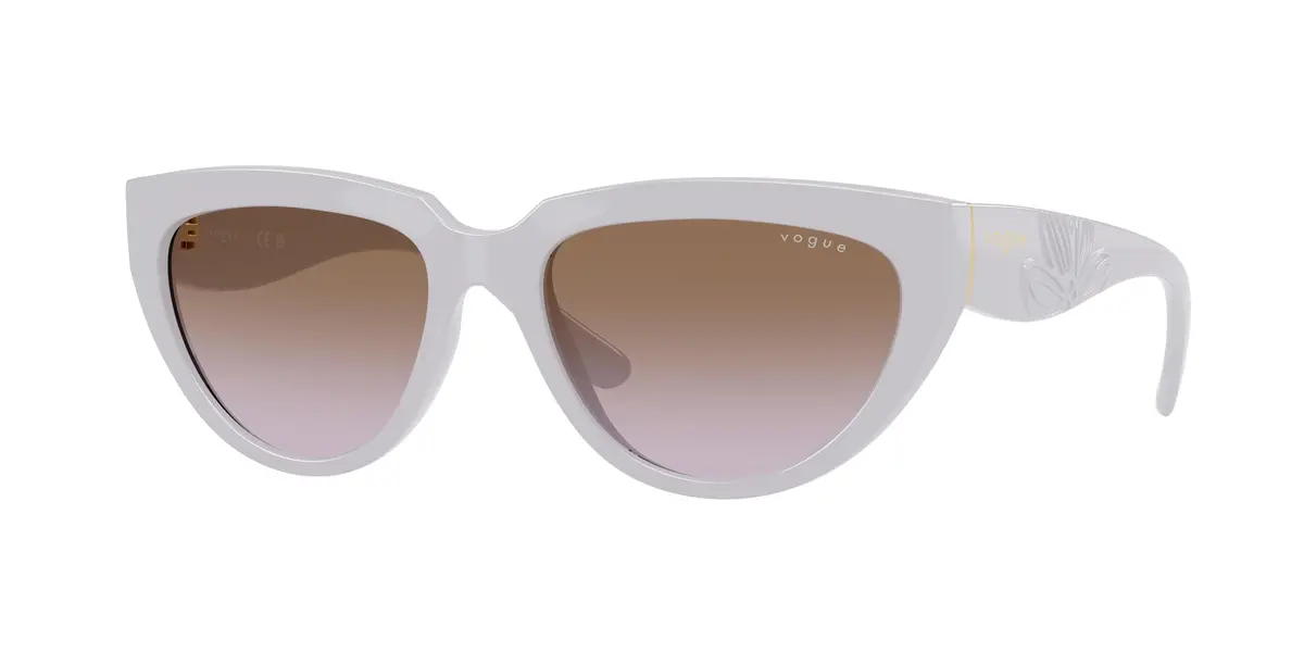 Vogue 5629S Sunglasses 1