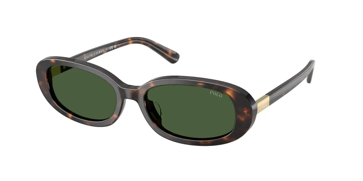 Polo 4198U Sunglasses 1