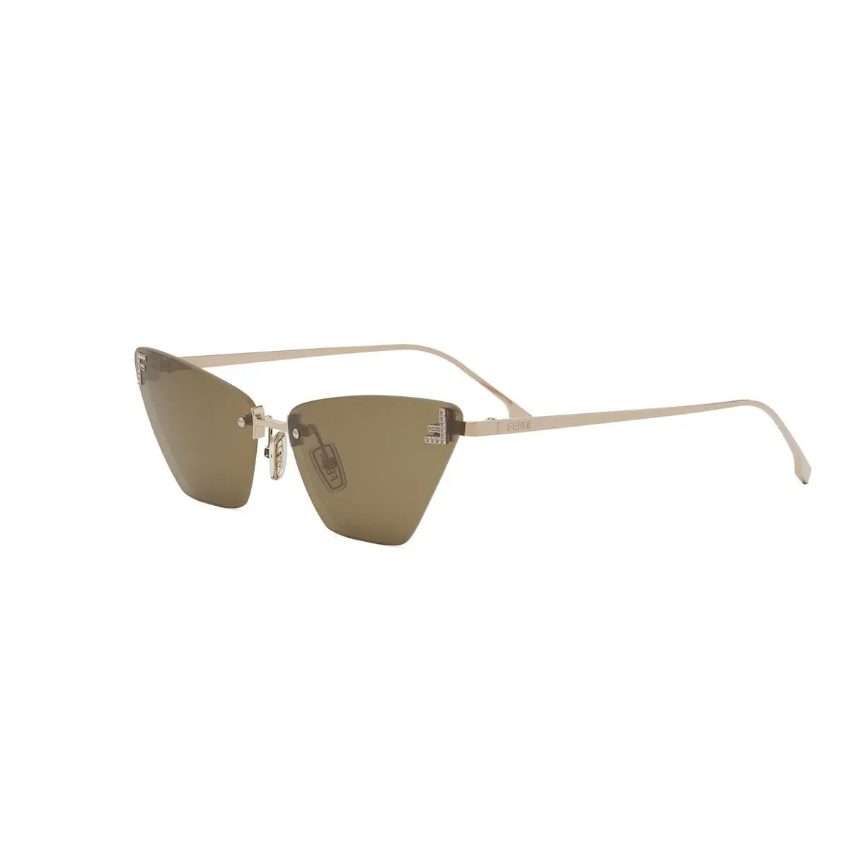 Fendi Fe4160us Sunglasses 1
