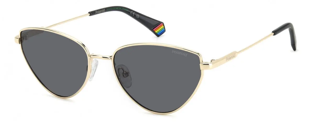 Polaroid Core Pld6234 Sunglasses 1