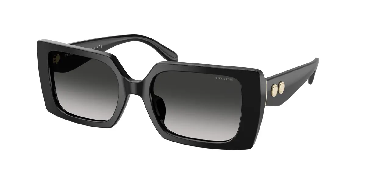 Coach Cw224 8409U Sunglasses 1
