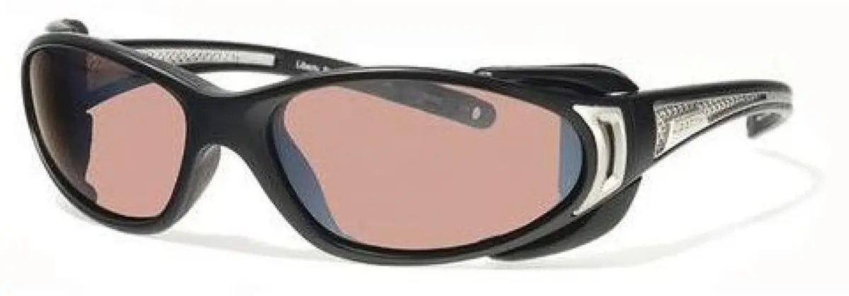 Rec Specs Chopper2 Sunglasses 1