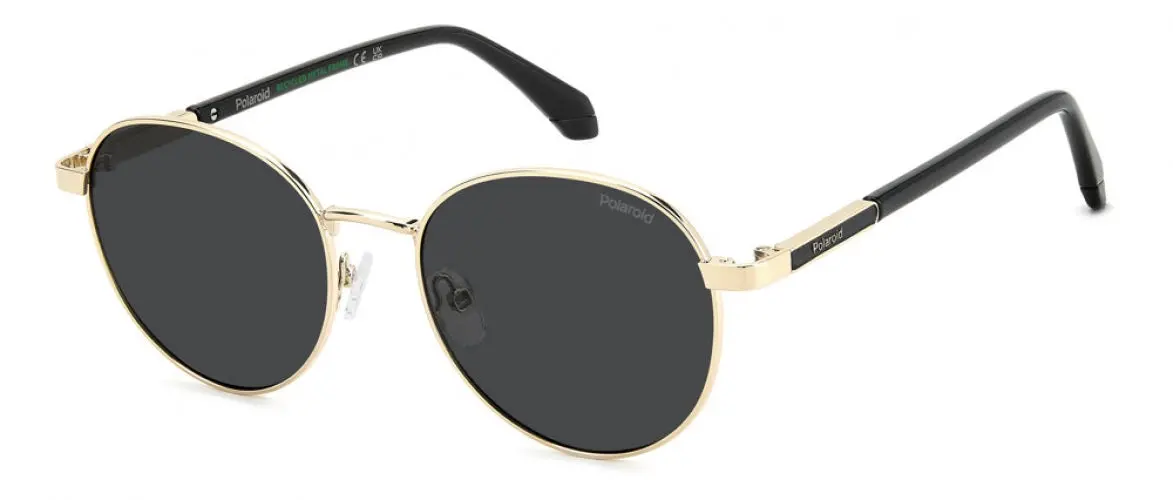 Polaroid Core Pld4197 Sunglasses 1