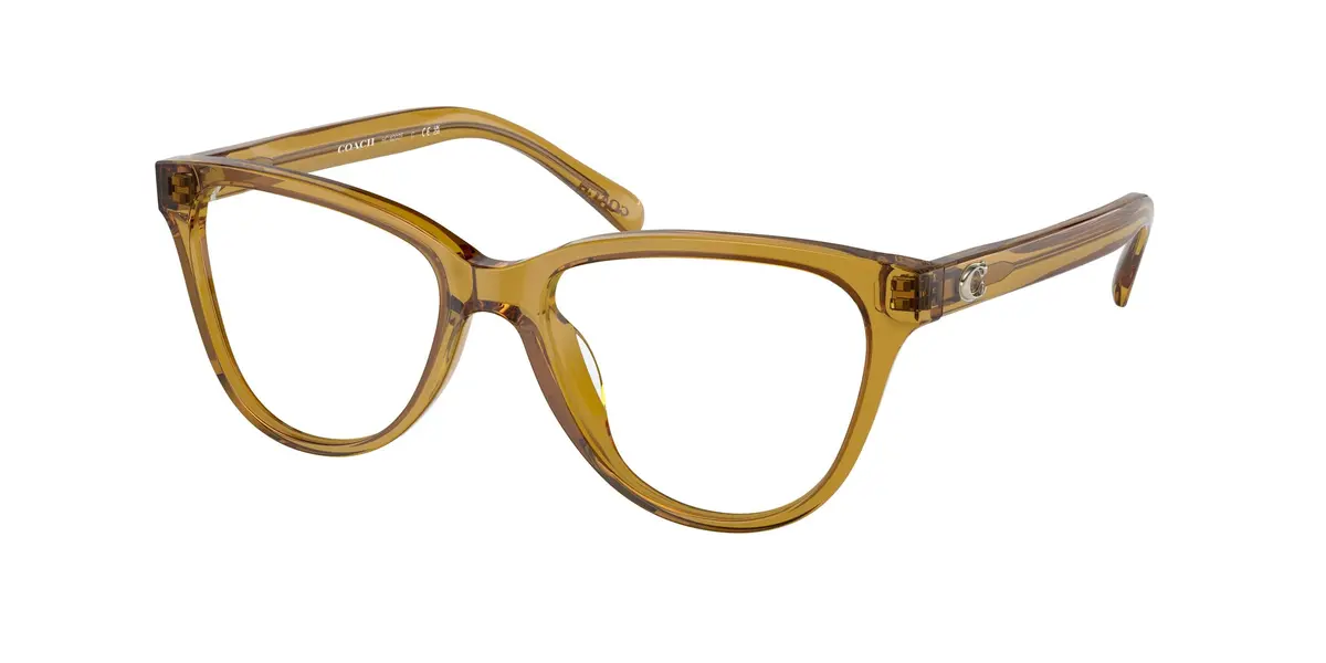 Coach 6202F Eyeglasses 1