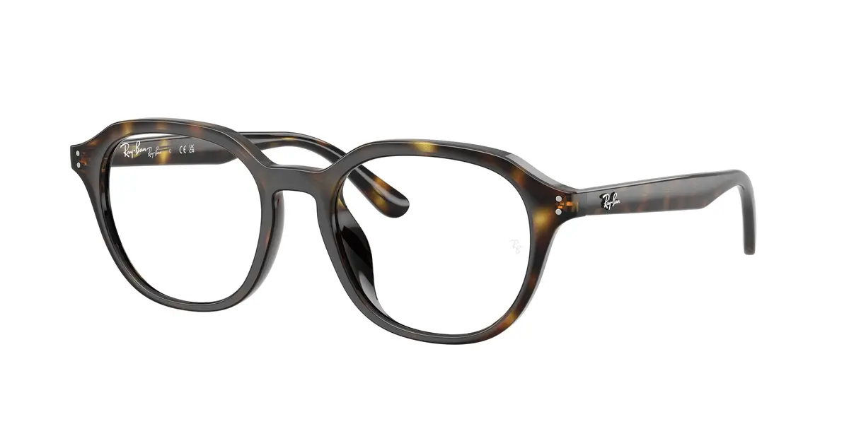 Ray-Ban 7259D Eyeglasses 1