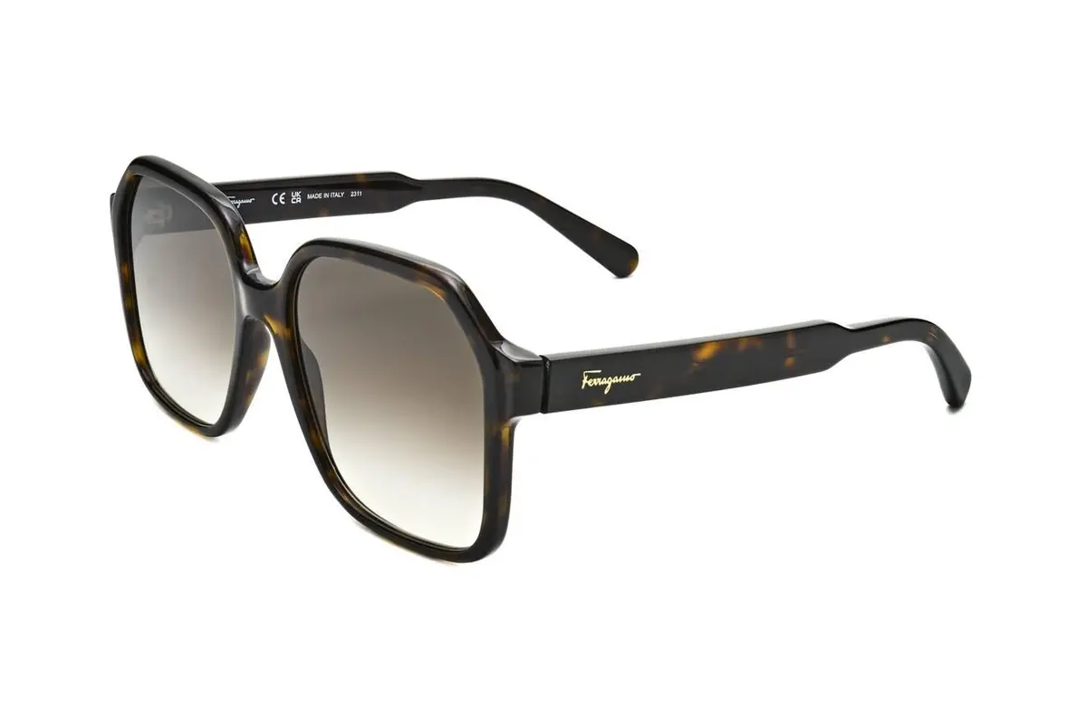 Ferragamo Sf1069s Sunglasses 1