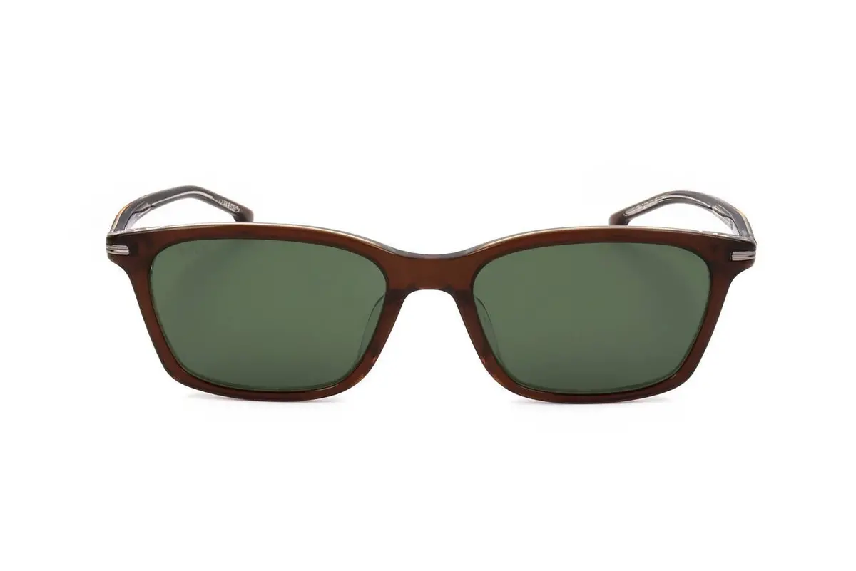 Hugo Boss Boss1669_F_Sk Sunglasses 1