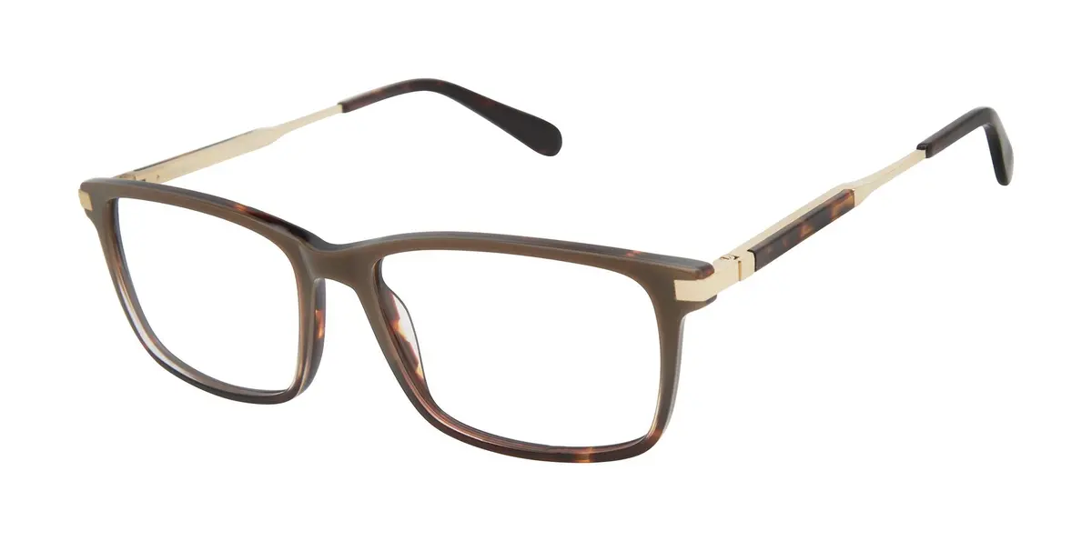 Cremieux Berra Eyeglasses 1