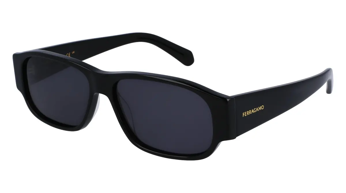 Salvatore Ferragamo Sf1109s Sunglasses 1