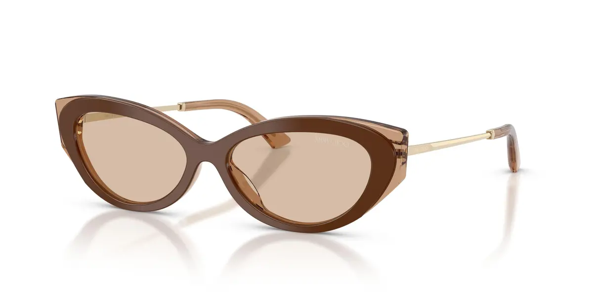 Jimmy Choo 5065U Sunglasses 1