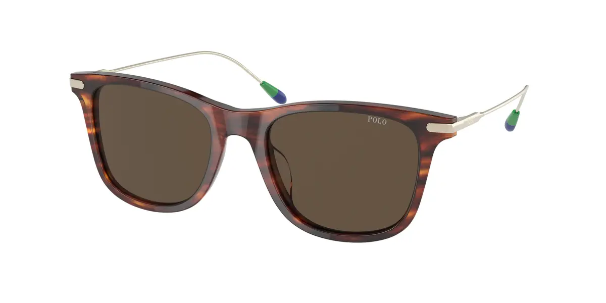 Polo 4179U Sunglasses 1