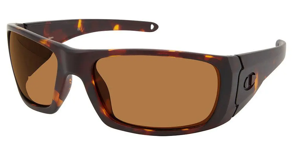 Champion Cugrit Sunglasses 1