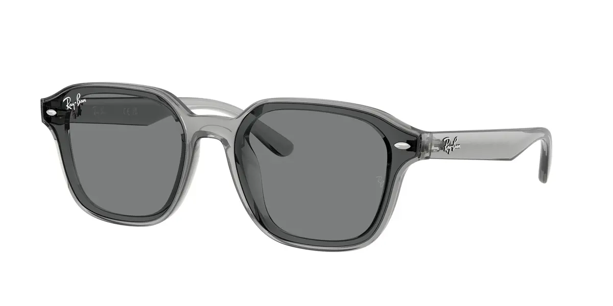 Ray-Ban 4458D Sunglasses 1