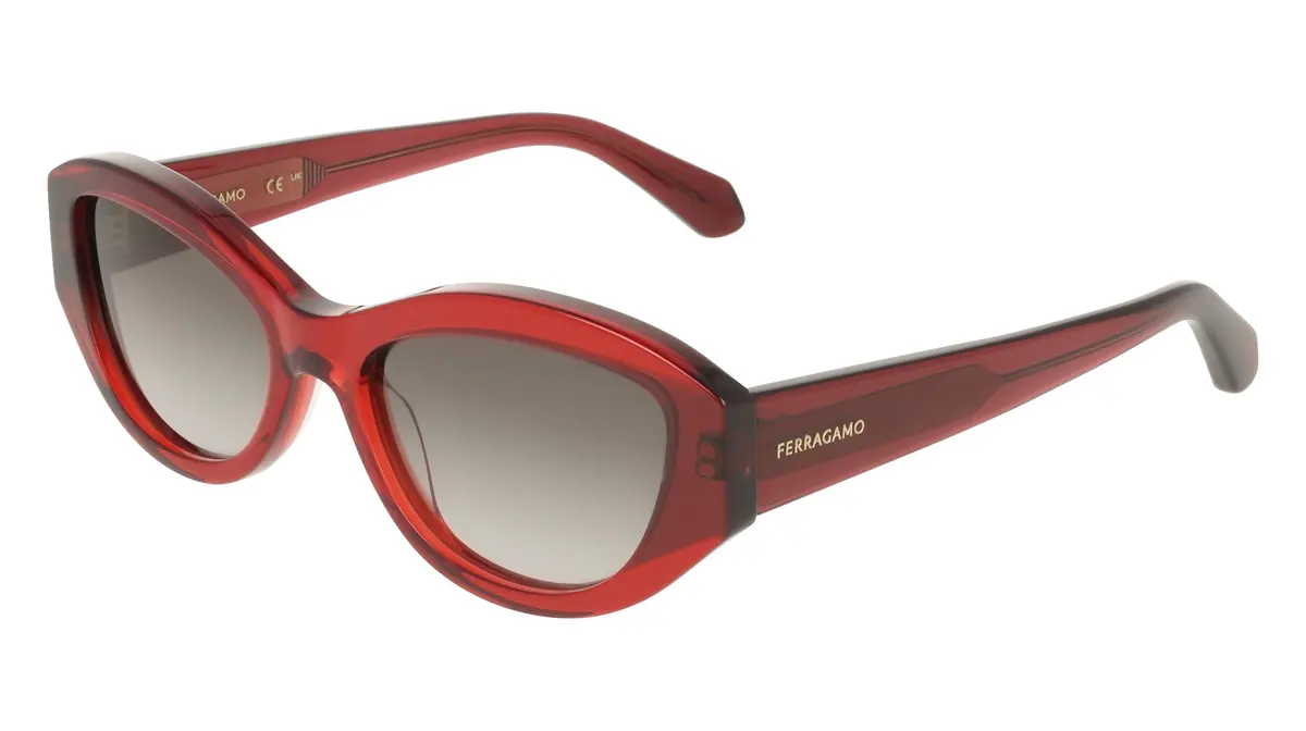 Salvatore Ferragamo Sf2104s Sunglasses 1