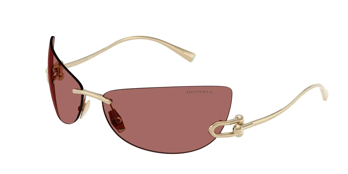 Tiffany 3112K Sunglasses 1