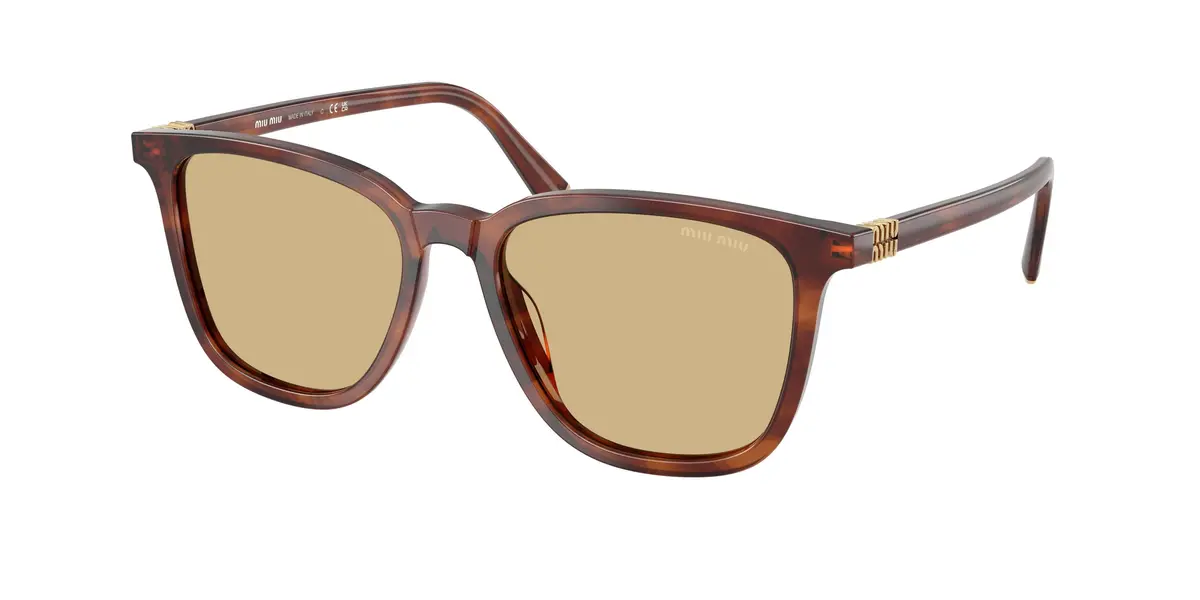 Miu B03s Sunglasses 1