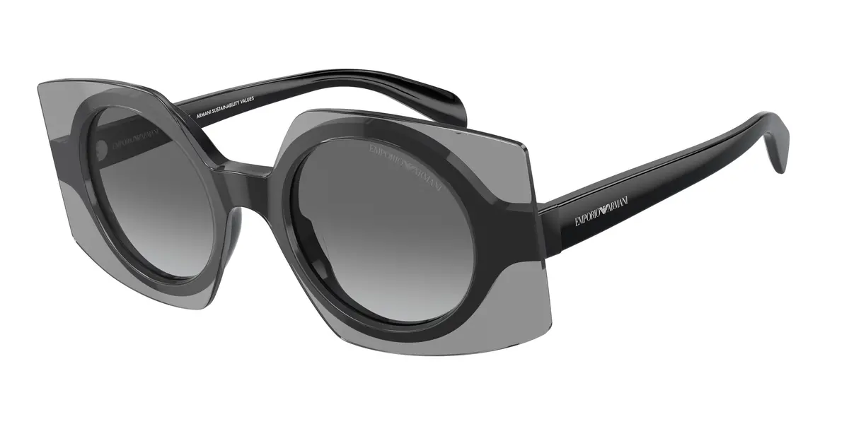 Emporio Armani 4207 Sunglasses 1