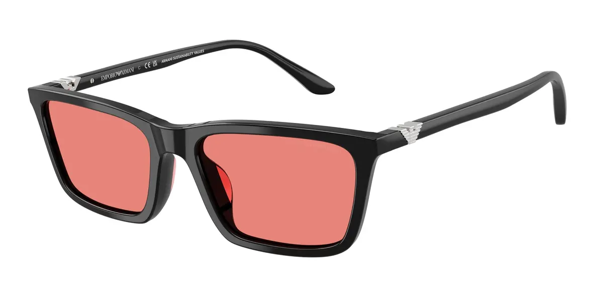 Emporio Armani 4239U Sunglasses 1