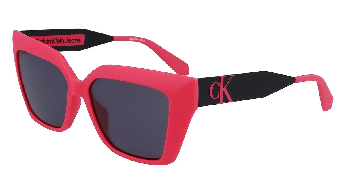 Calvin Klein Jeans Ckj22639s Sunglasses 1