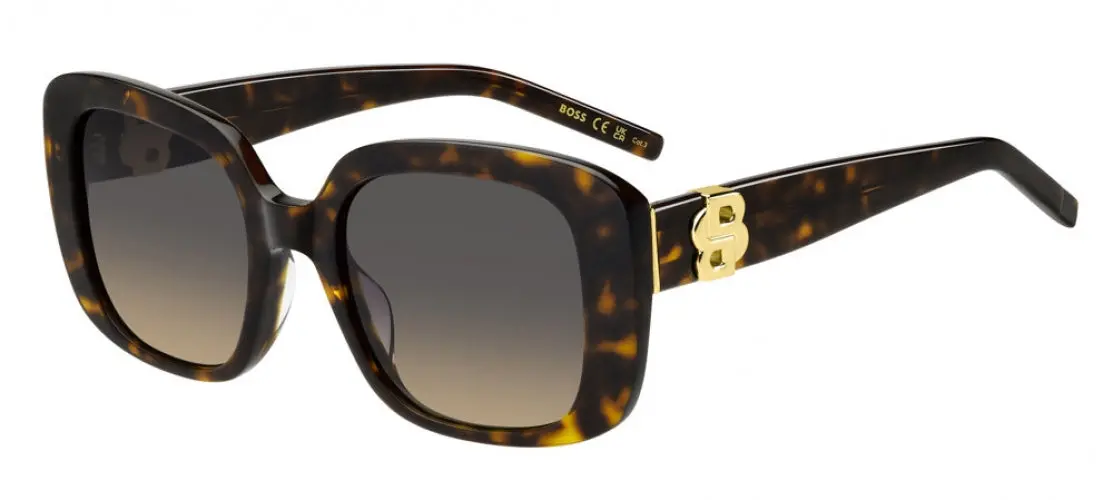 Boss (Hub) 1791 Sunglasses 1