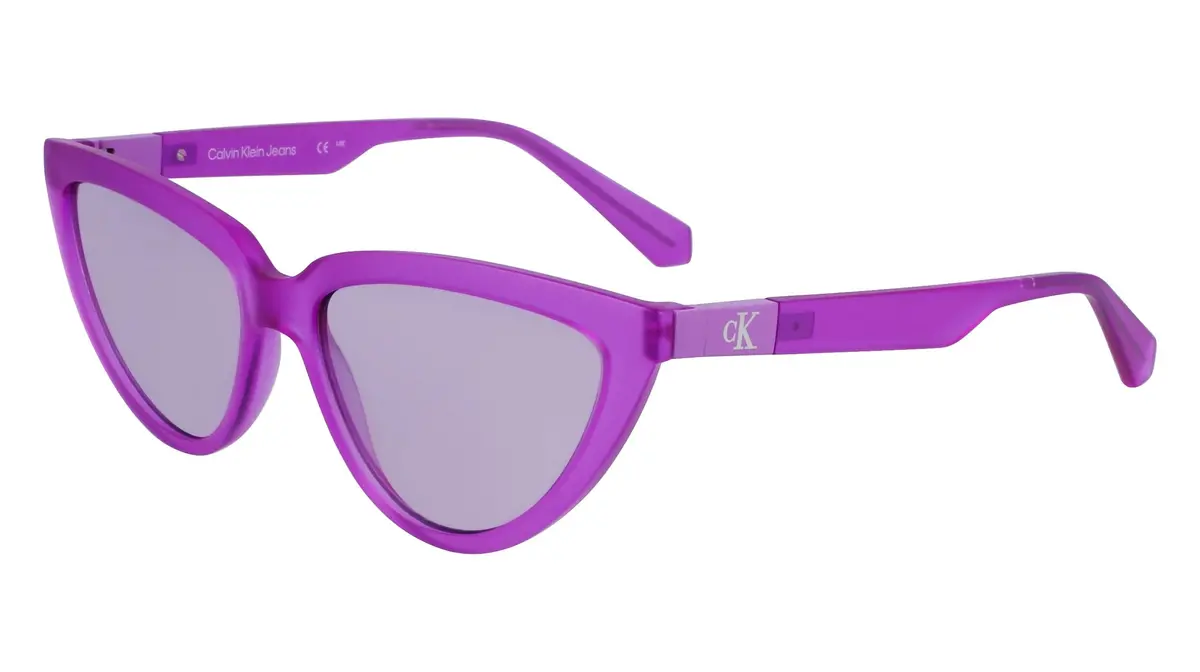 Calvin Klein Jeans Ckj23658s Sunglasses 1