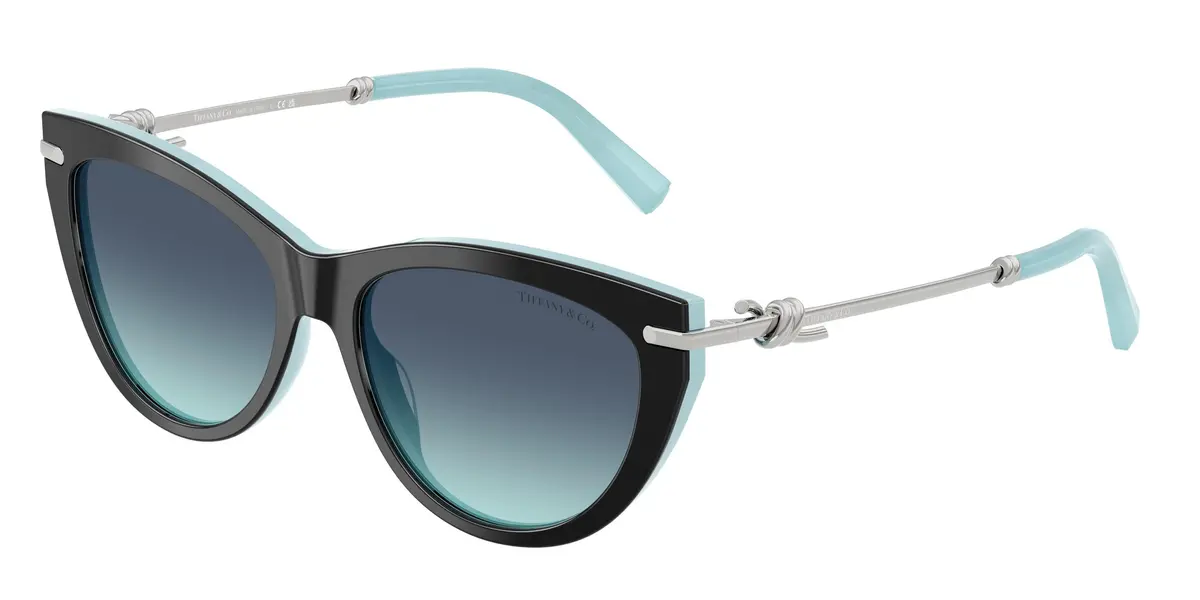 Tiffany 4253F Sunglasses 1