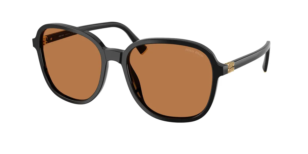 Miu B01sf Sunglasses 1