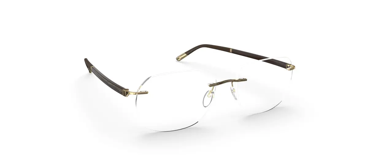 Silhouette Hinge C-2 Demo Rimless L014 Eyeglasses 1