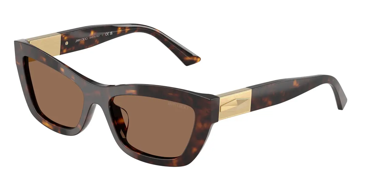 Jimmy Choo 5030U Sunglasses 1
