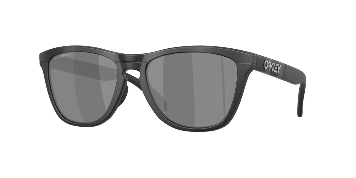 Oakley Frogskins Range Xl A 9503A Sunglasses 1