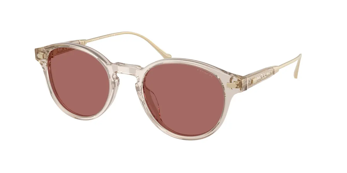 Coach Cad83 8428U Sunglasses 1
