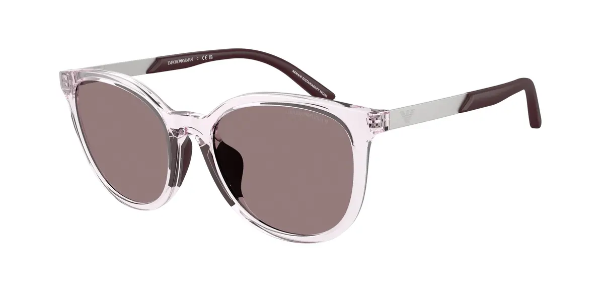Emporio Armani Kids 4007U Sunglasses 1
