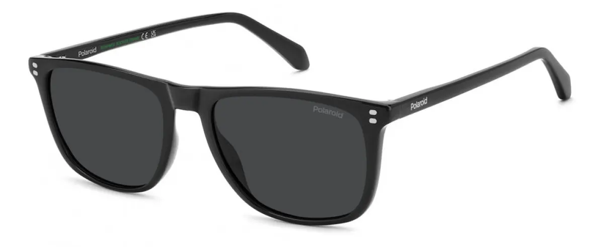 Polaroid Core Pld4202 Sunglasses 1