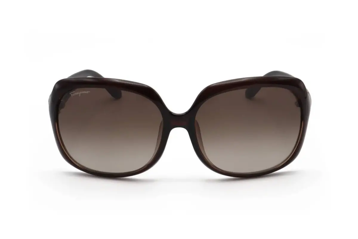 Salvatore Ferragamo Sf739sa Sunglasses 1