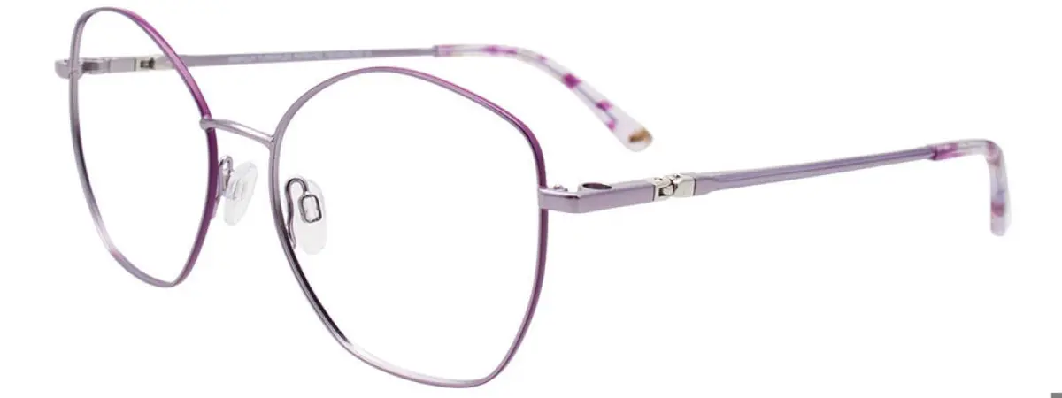 Easyclip Ec650 Eyeglasses 1