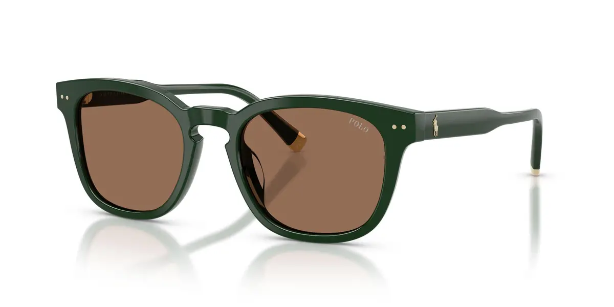 Polo 4242F Sunglasses 1