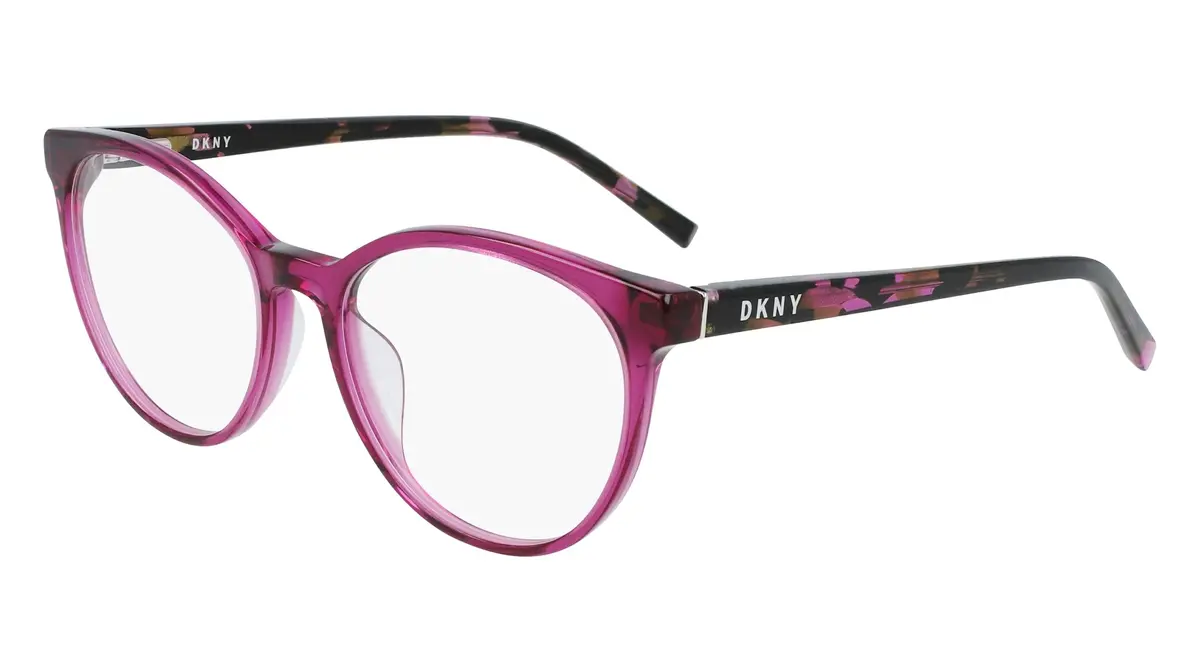 Dkny Dk5037 Eyeglasses 1
