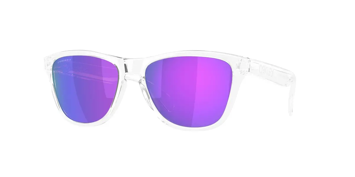 Oakley Frogskins S 9508 Sunglasses 1