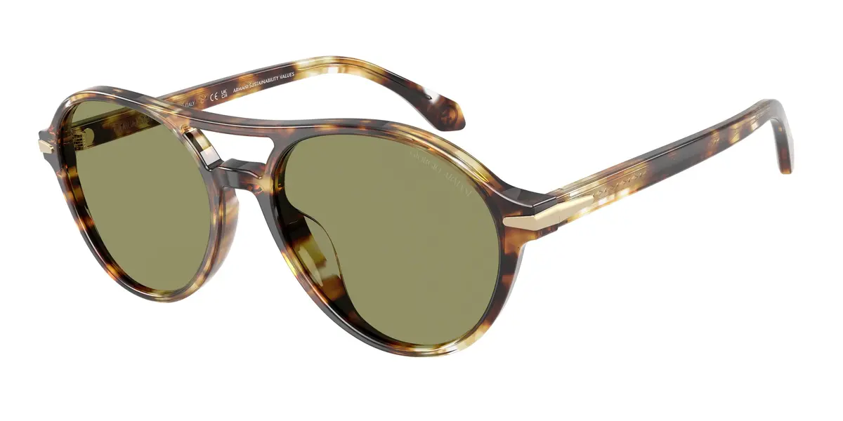 Giorgio Armani 8236U Sunglasses 1