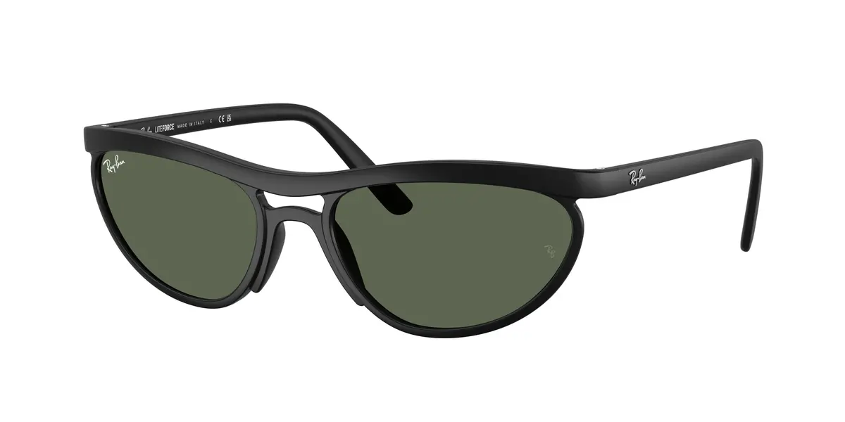 Ray-Ban 4453 Sunglasses 1